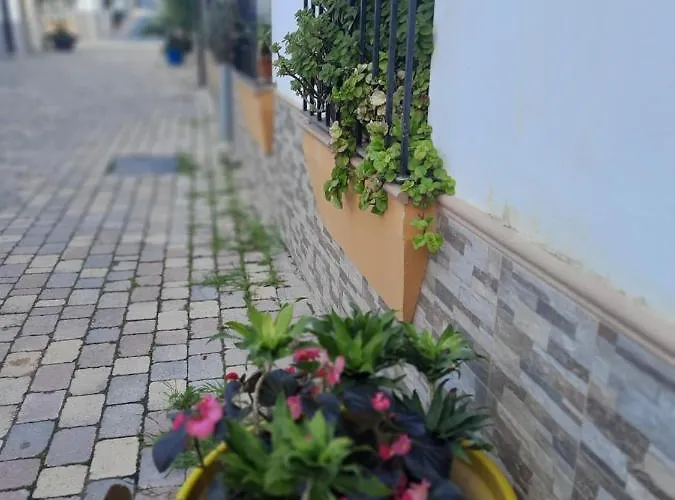 En Casco Historico *